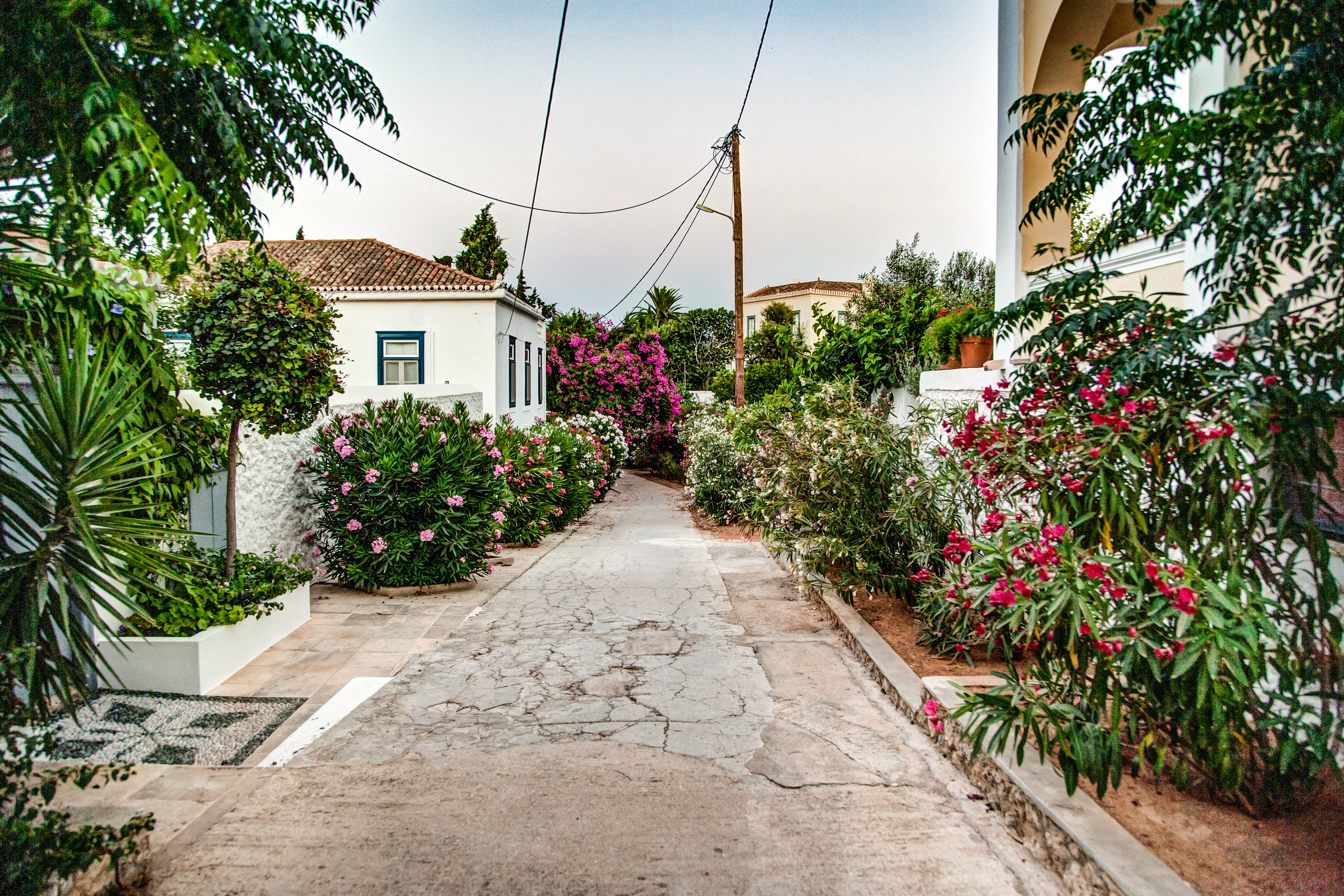 Smuk gade i den gamle bydel på Spetses