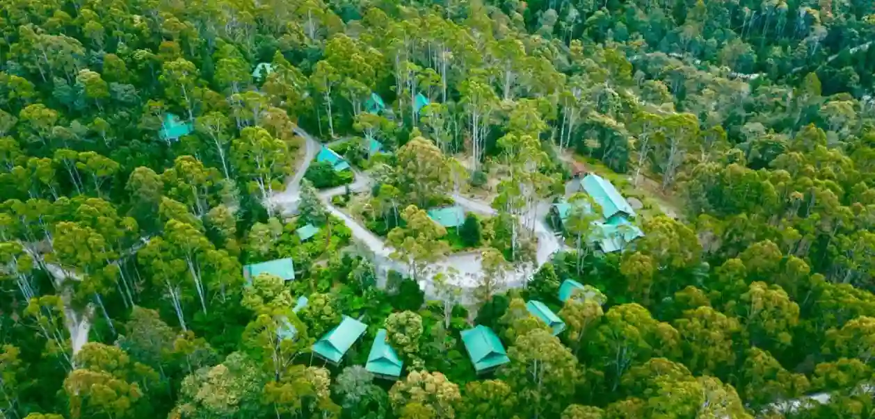 Lemonthyme Wilderness Retreat