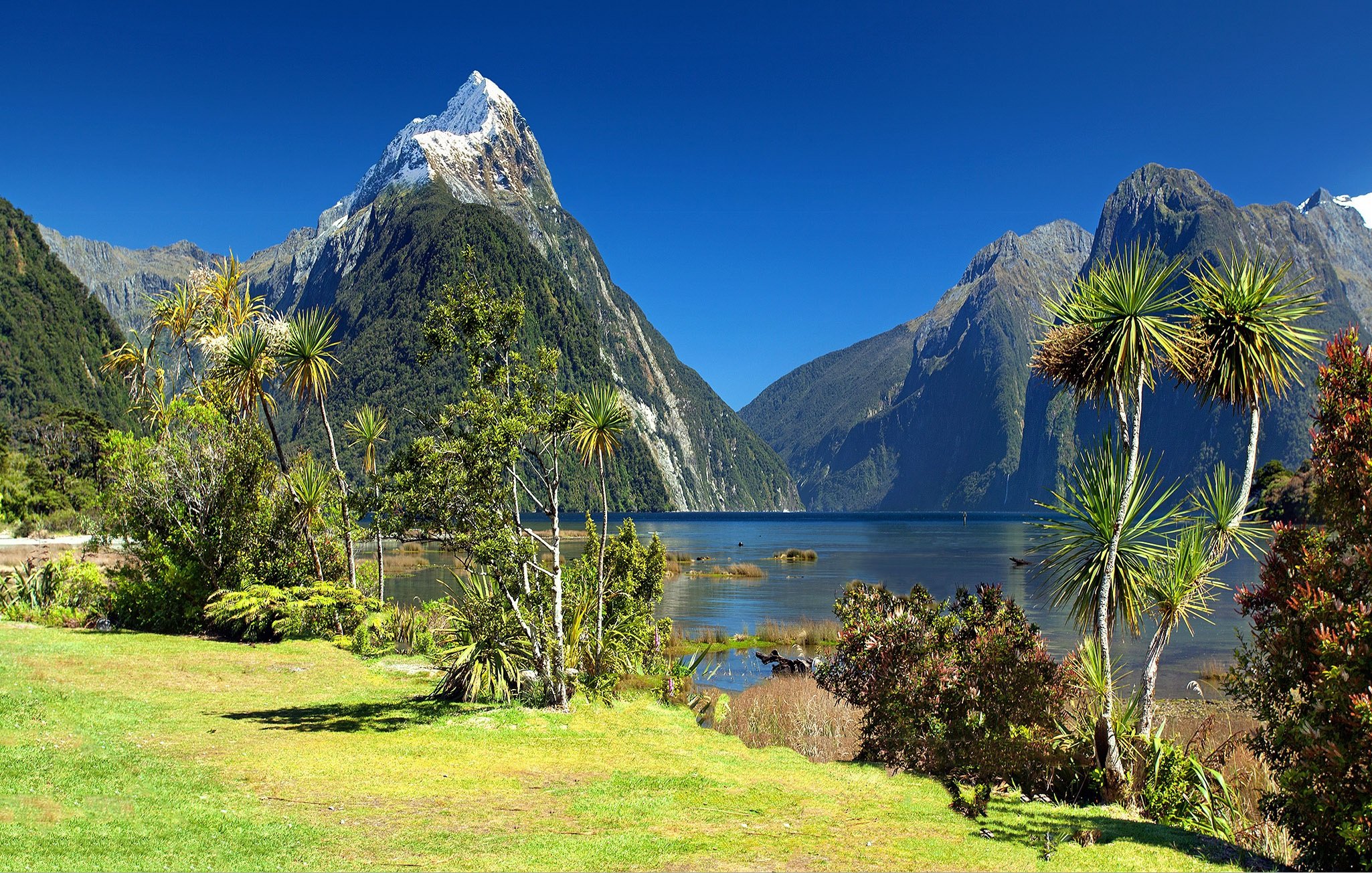 Fiordland national park Nya Zeeland 