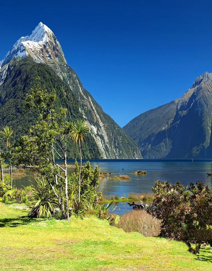 Fiordland national park Nya Zeeland