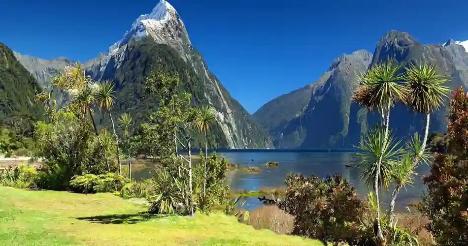 Fiordland national park Nya Zeeland