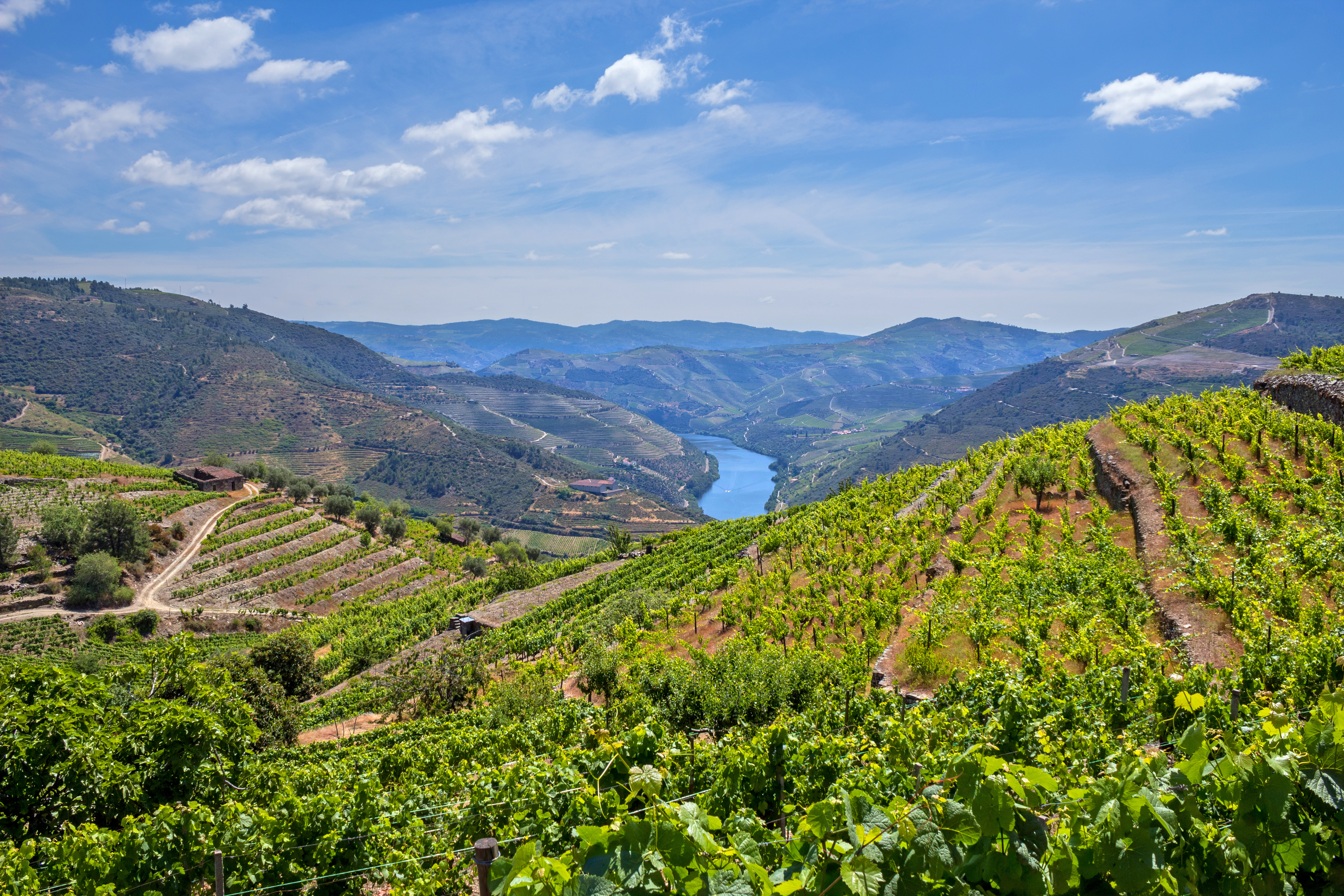 Douro 