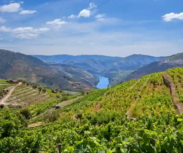 Douro