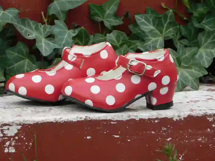 Traditionelle flamencosko klar til dans