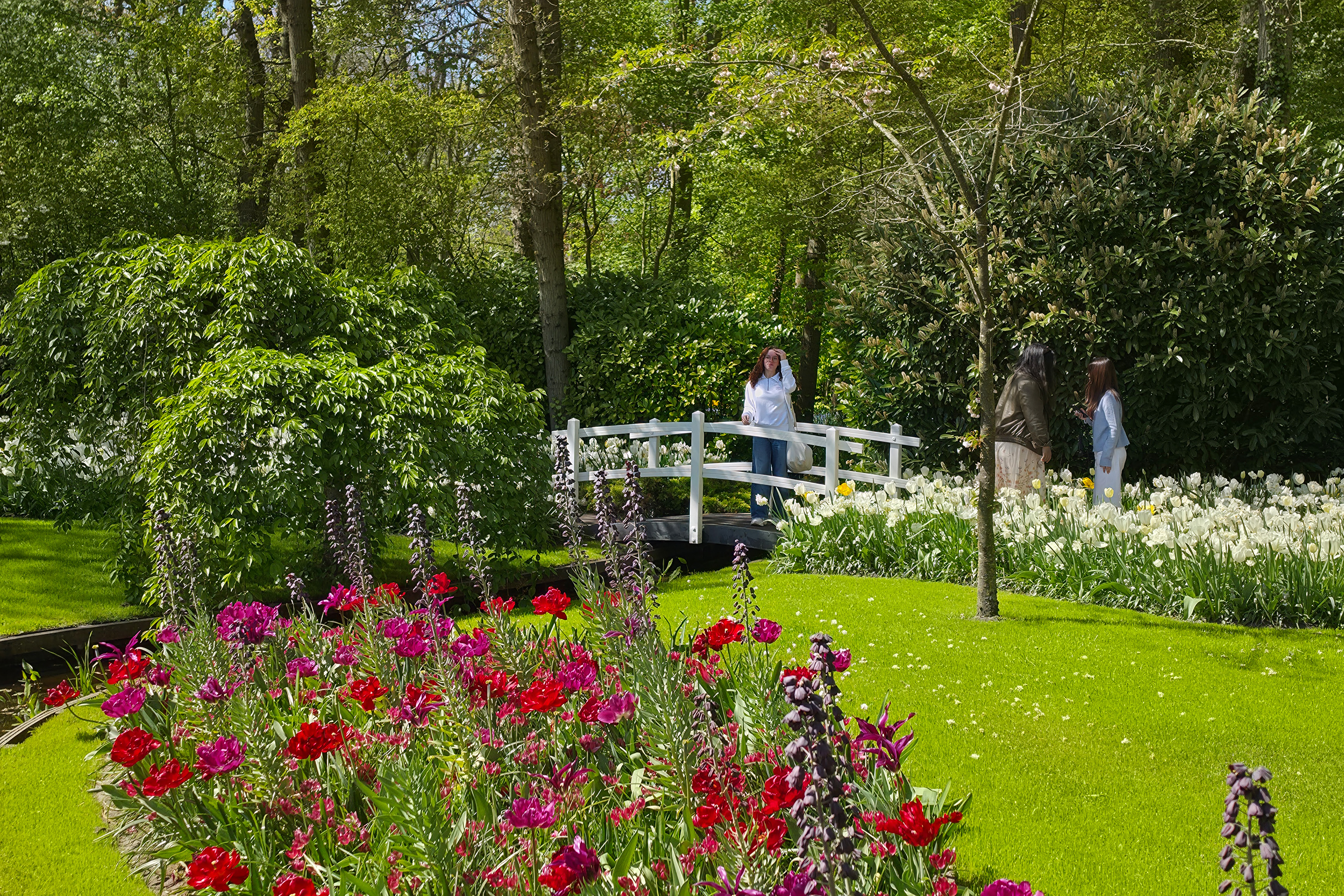 Blomsterprakt i Keukenhof