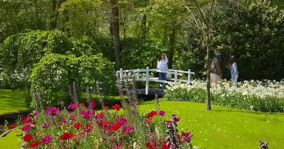 Blomsterprakt i Keukenhof