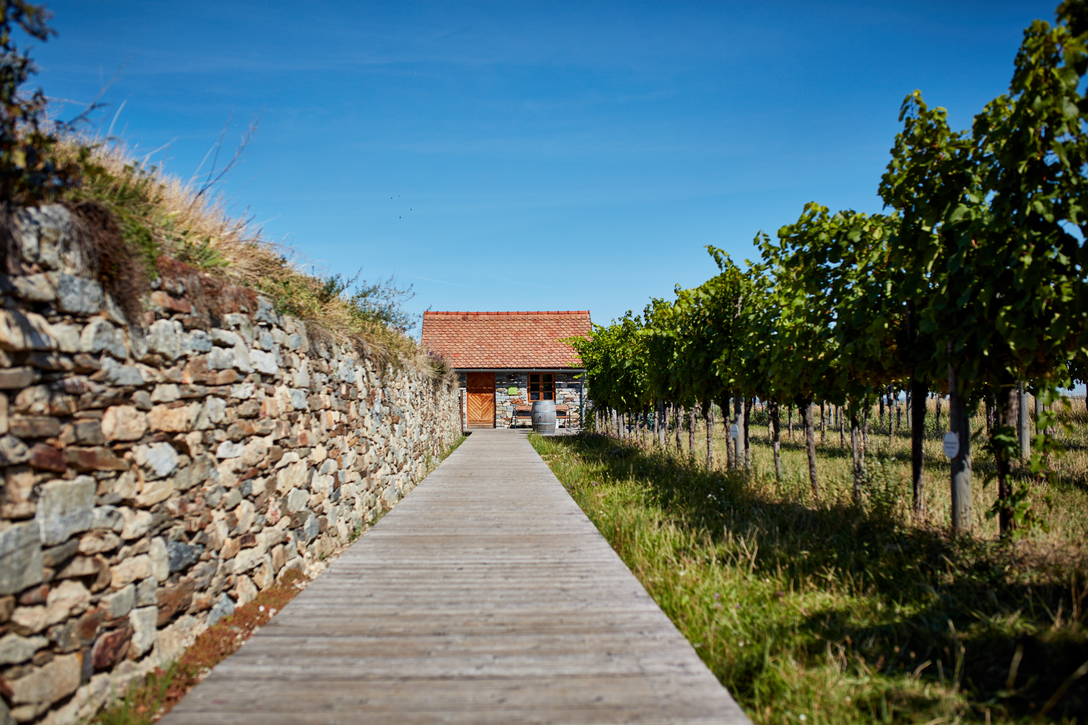 Vinhagen i Winzer Krems
