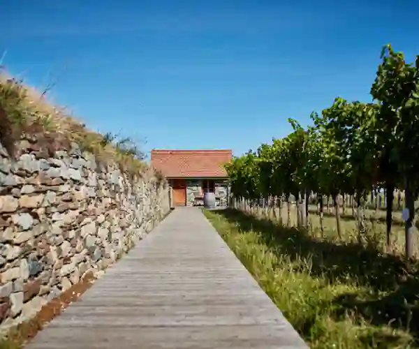 Vinhagen i Winzer Krems