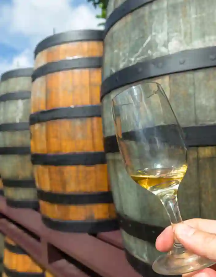 En guidad romtur där besökare får upptäcka Barbados berömda romtradition.