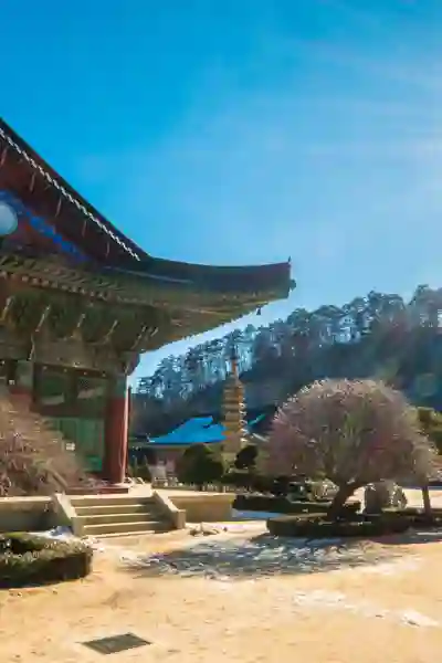 Woljeongsa