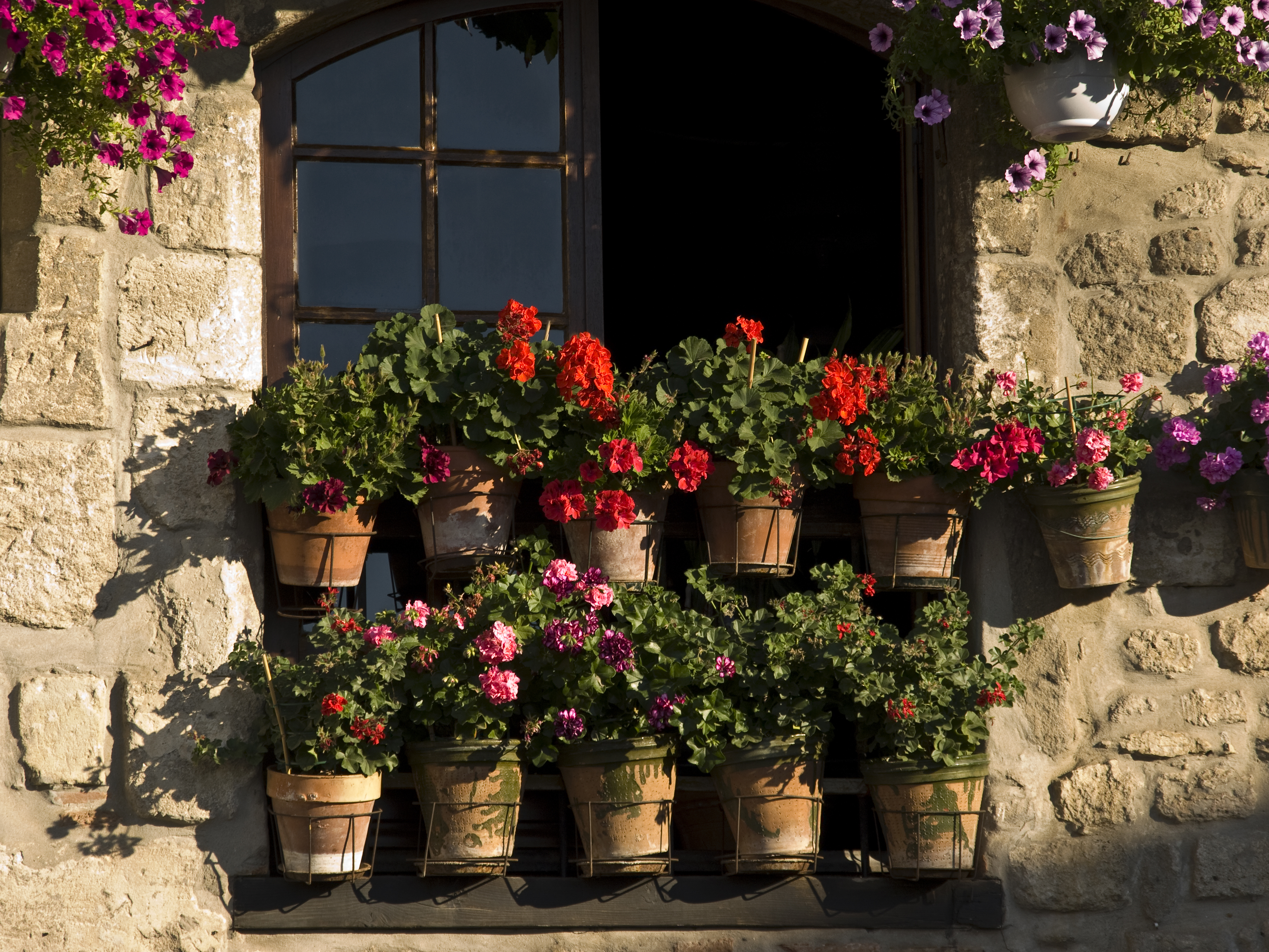 Stenhus med flera blomkrukor i fönstret