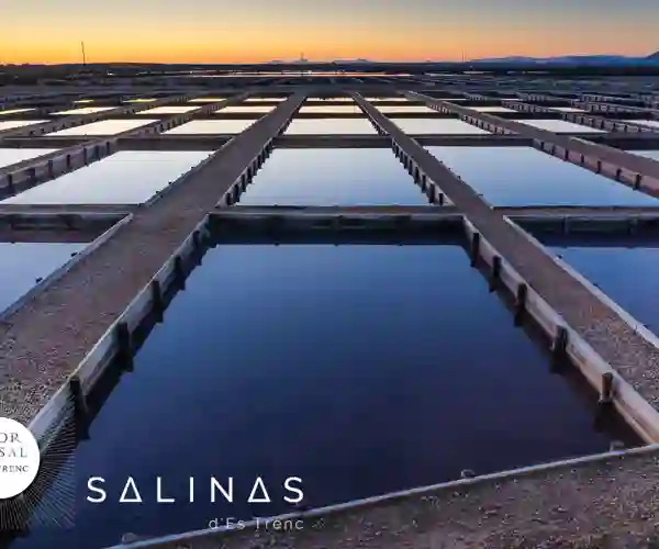 Salinas d’Es Trenc