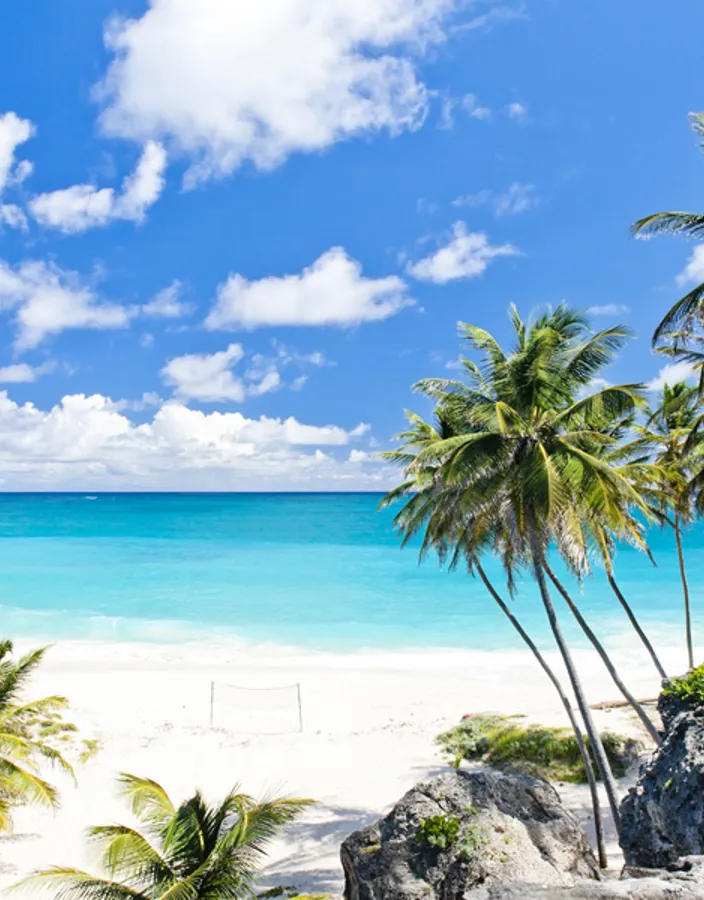 En tropisk strand med vit sand och turkost vatten på Barbados.