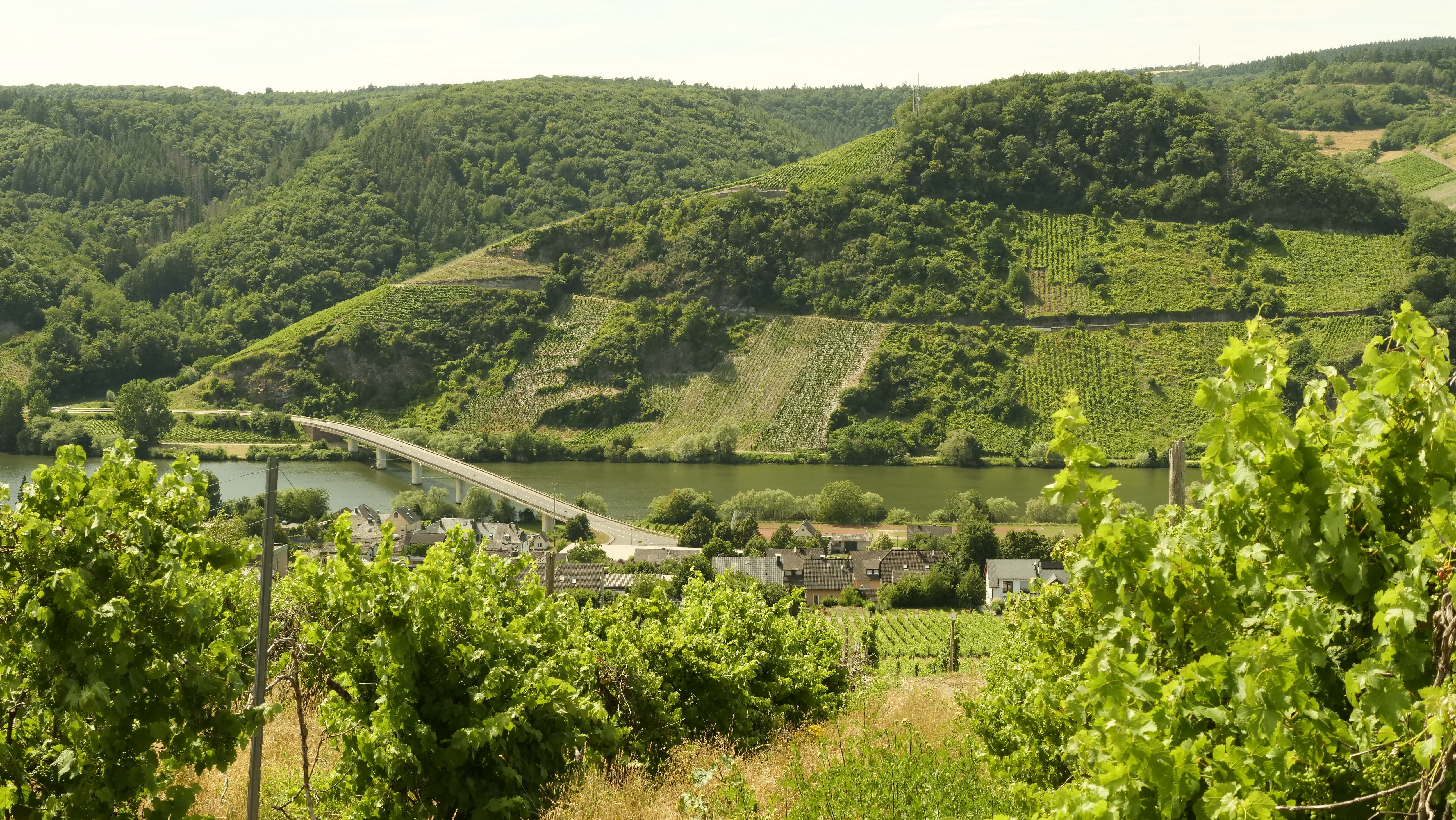 Neumagen Dhron