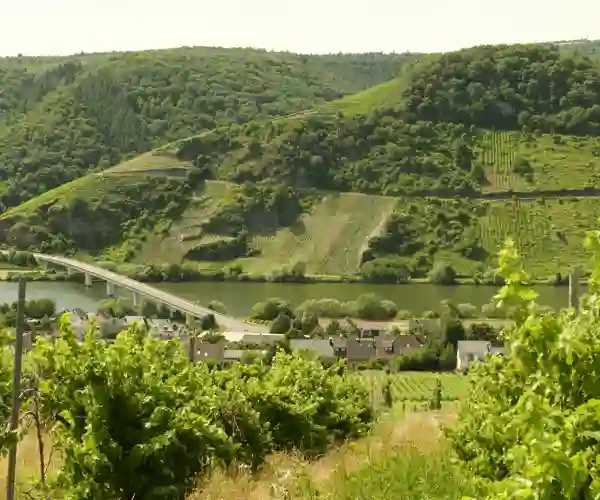 Neumagen Dhron