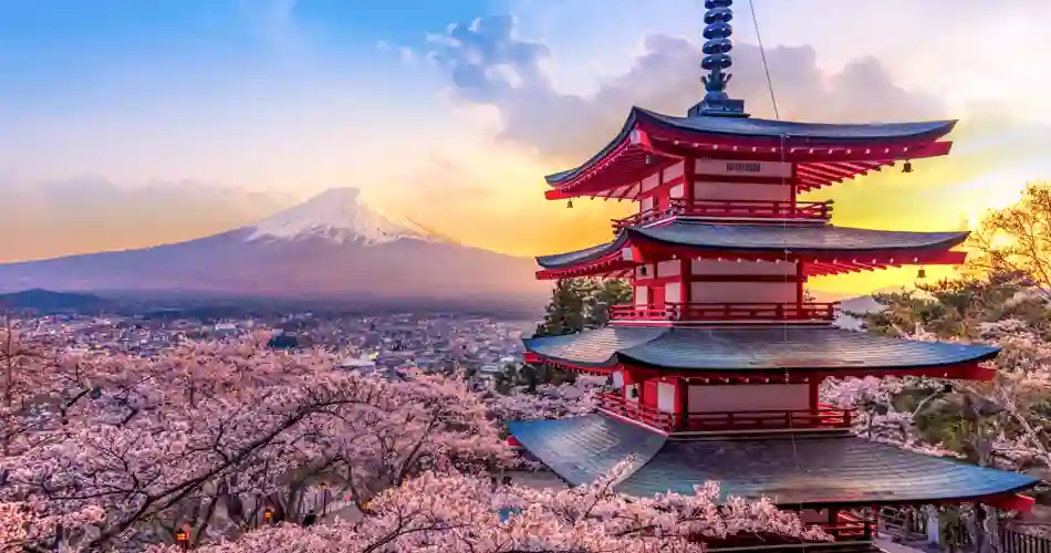 Rejs ud i verden med rejseleder