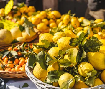 Citroner