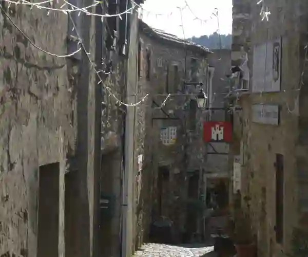Minerve