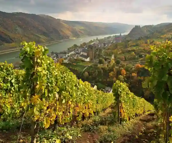 Oberwesel ved Rhinen