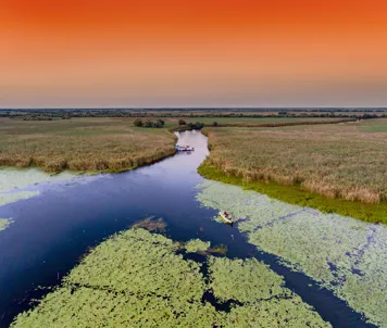 Donaudelta