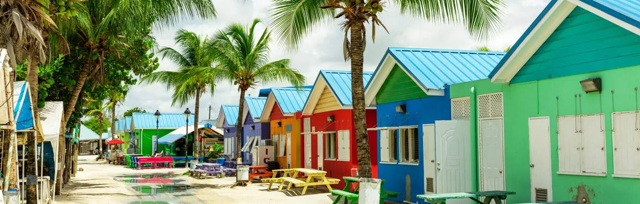 Små färgglada hus under palmerna vid stranden
