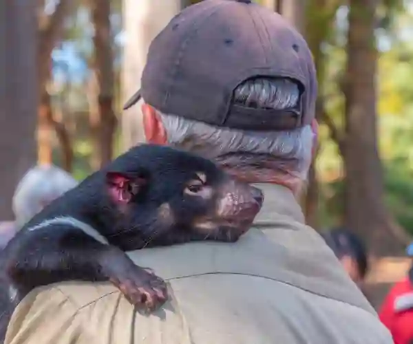 Dyrepasser i Devils Wildlife Park