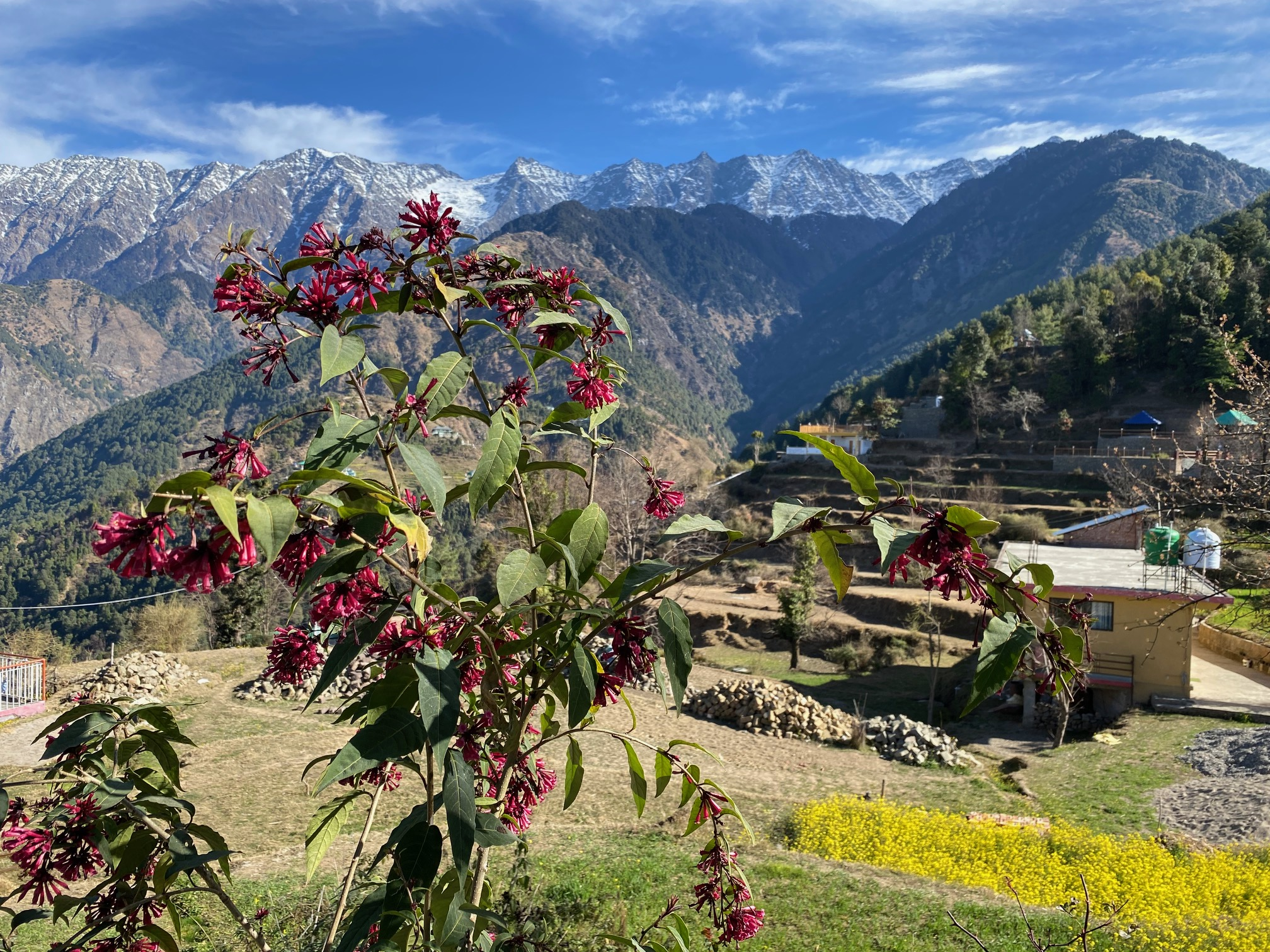 Vandretur i Naddi, privat foto fra Kirsten