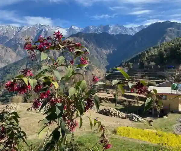 Vandretur i Naddi, privat foto fra Kirsten