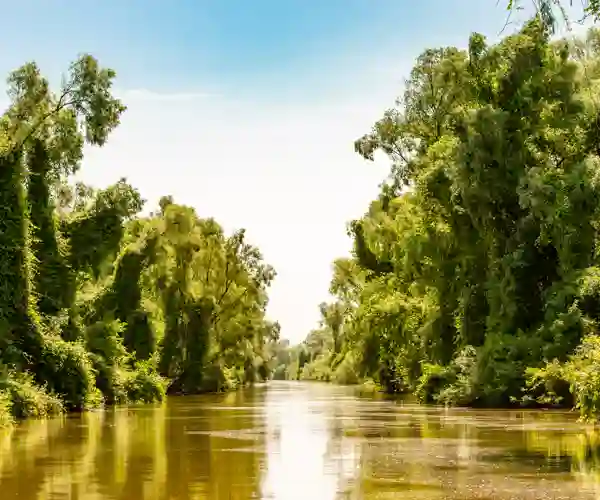 Donau-deltaet