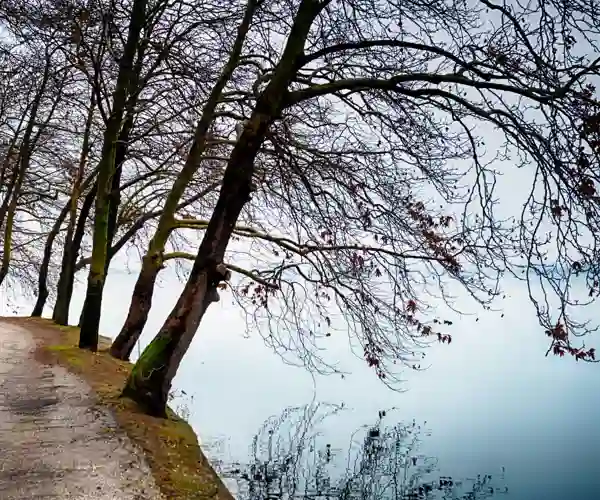 Fortryllende vej langs søen