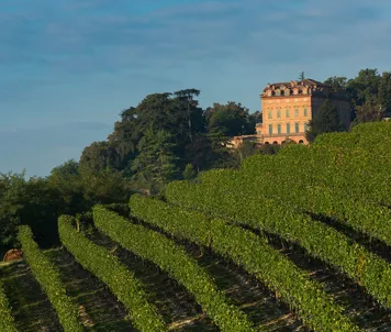 Vinslottet Marchese Alfieri