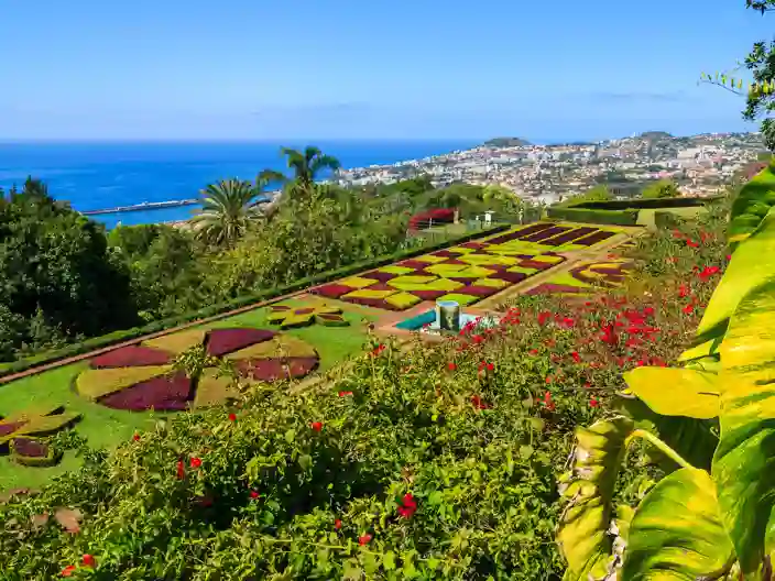 Botanisk Have, Madeira