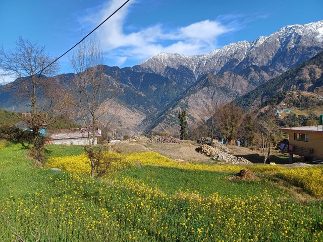 Dharamsala 
