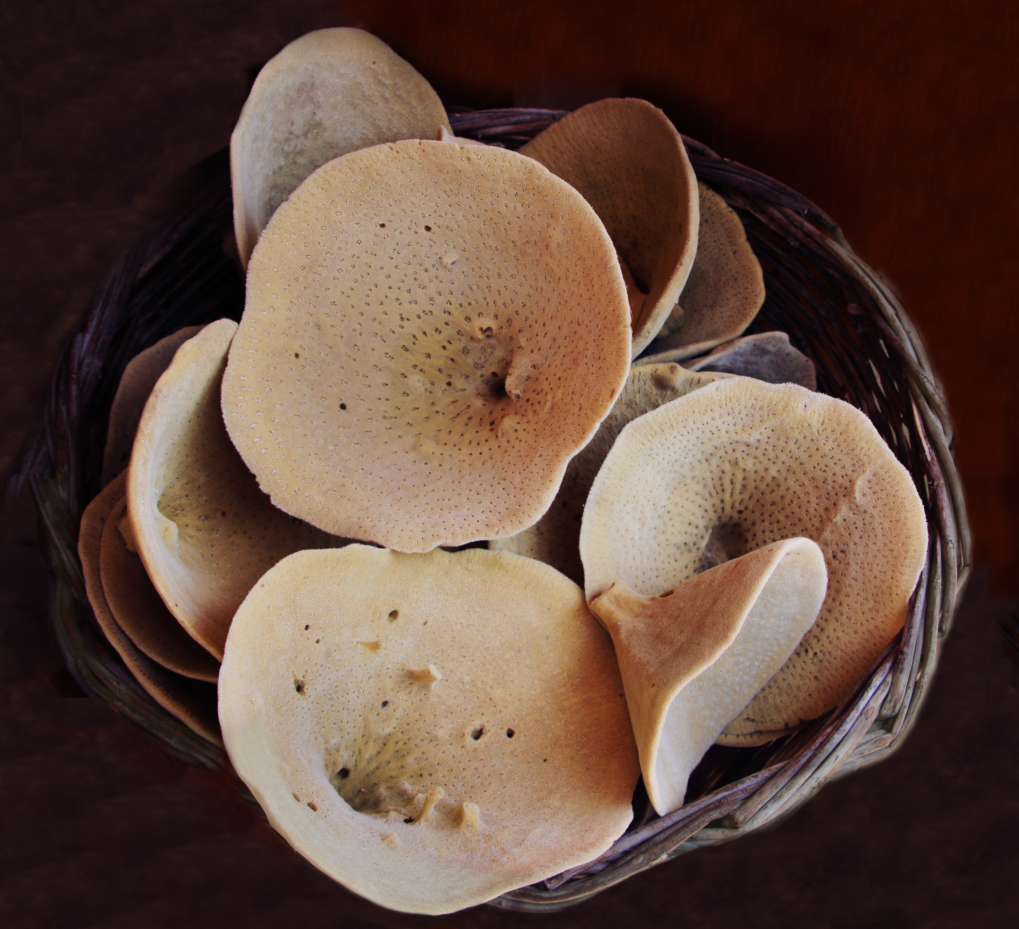 Ligner champignons - men er natursvampe