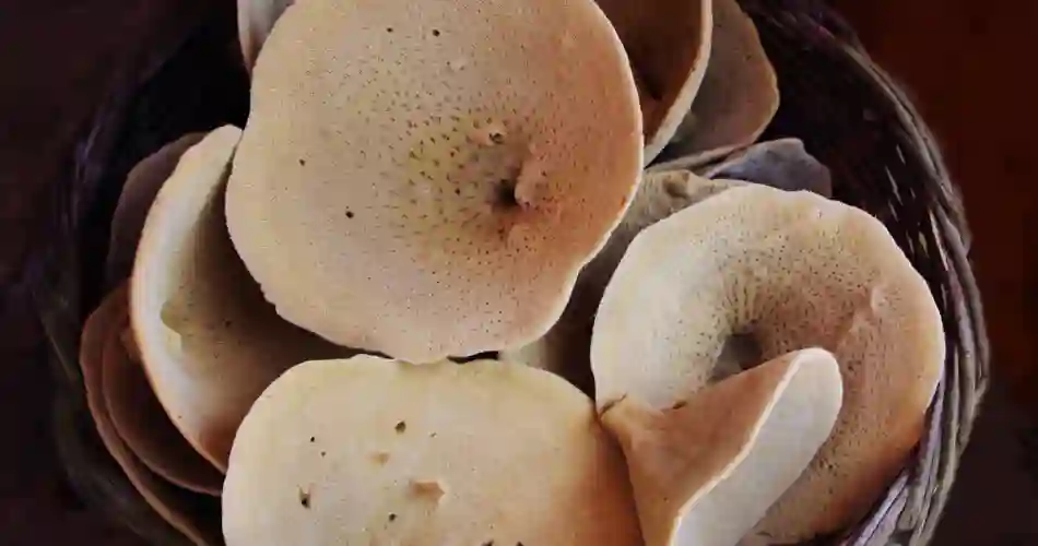 Ligner champignons - men er natursvampe