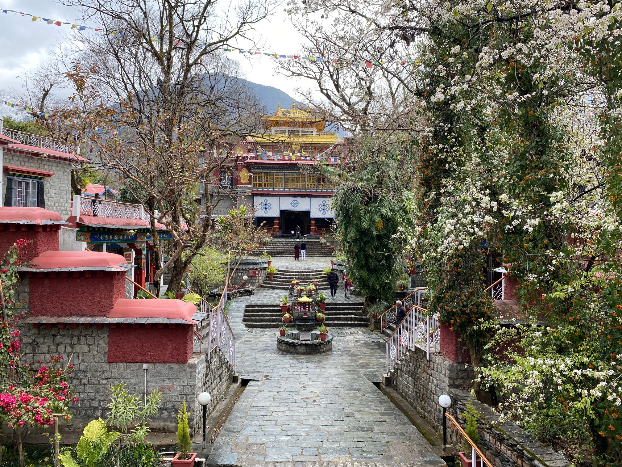 Norbulingka Institut, Privat foto fra Kirsten