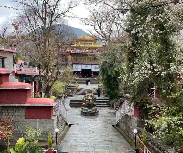 Norbulingka Institut, Privat foto fra Kirsten