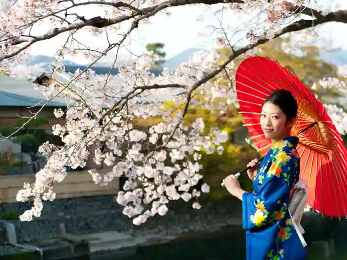 Japansk kvinna i traditionell klädsel vid blomstrande körsbärsträd.