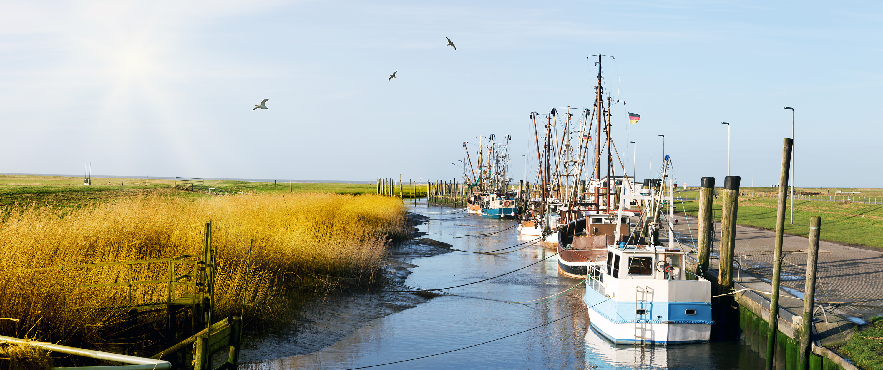 Friesland