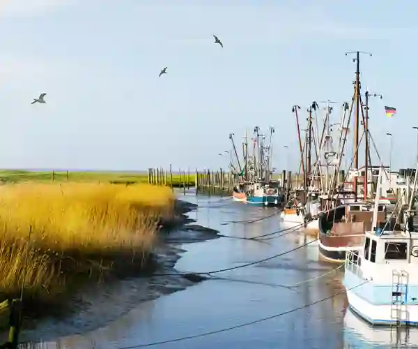 Friesland