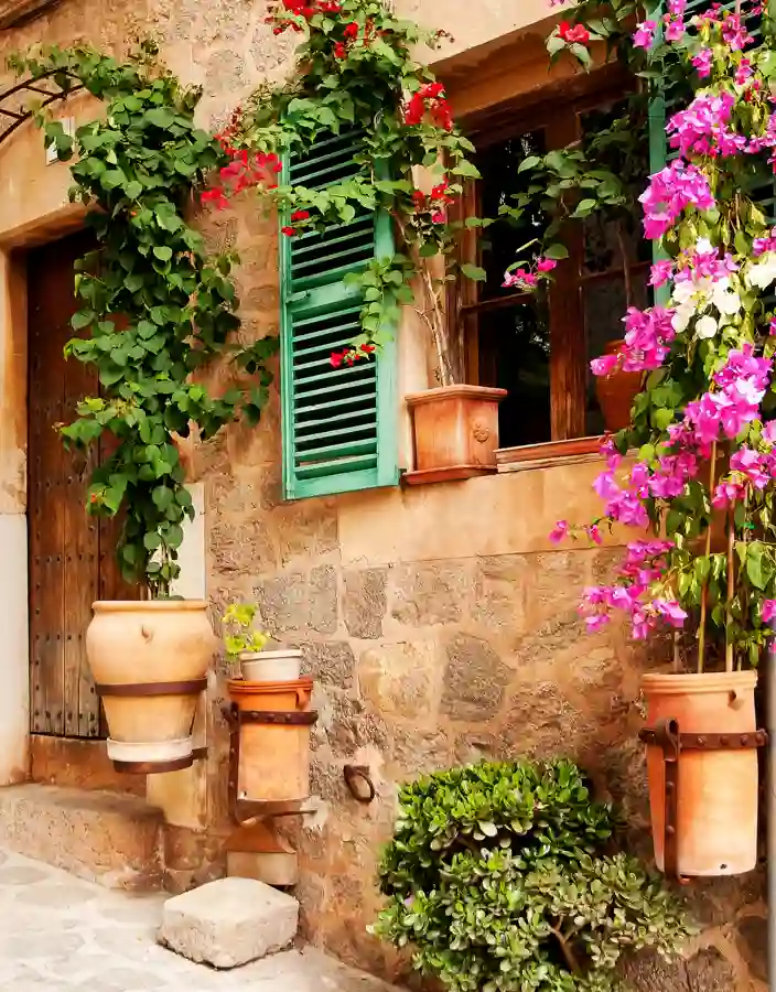 Stenhus i Valldemossa med vackra krukväxter