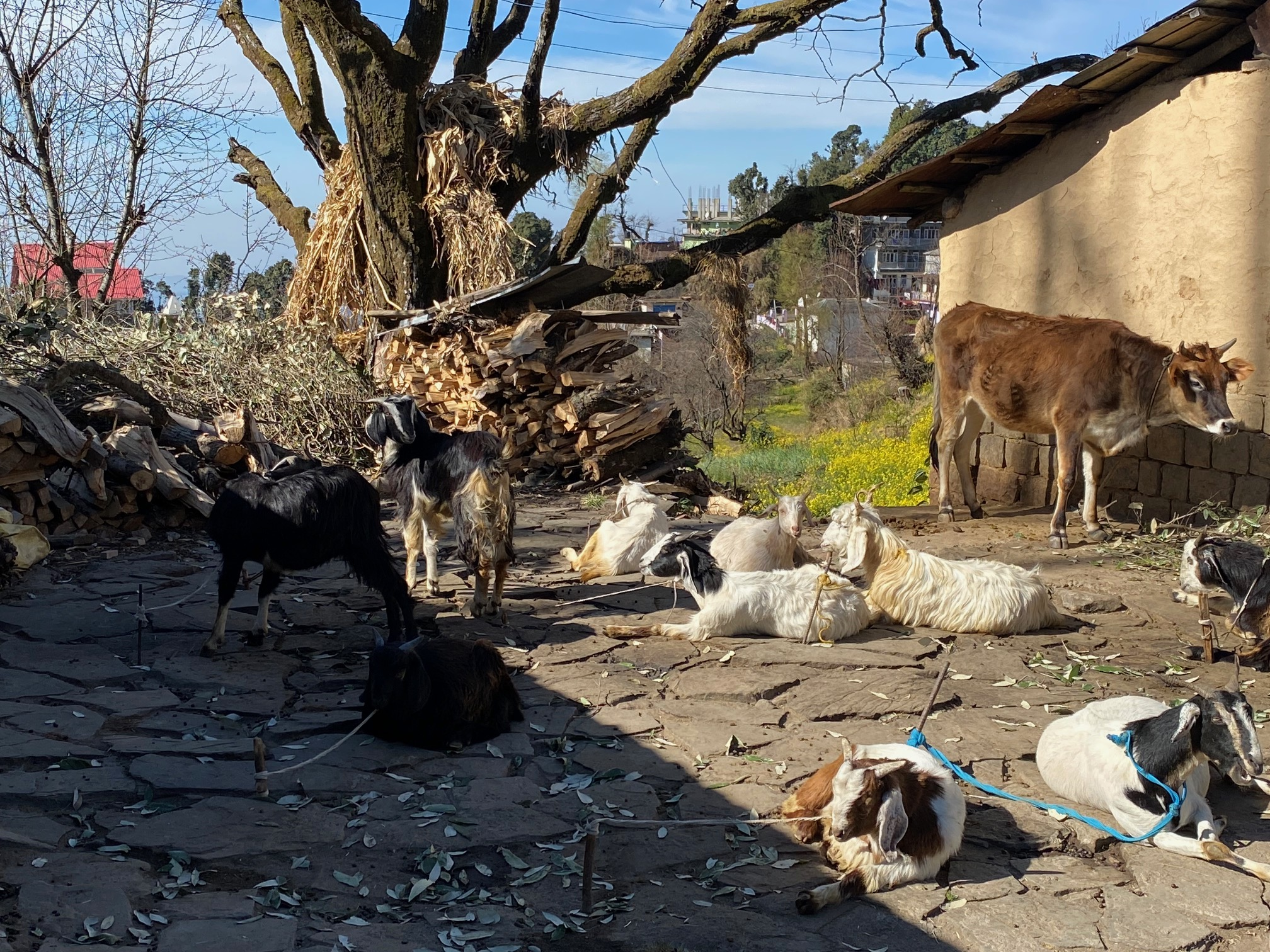 Vandretur i Naddi, privat foto fra Kirsten