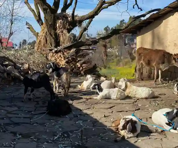 Vandretur i Naddi, privat foto fra Kirsten