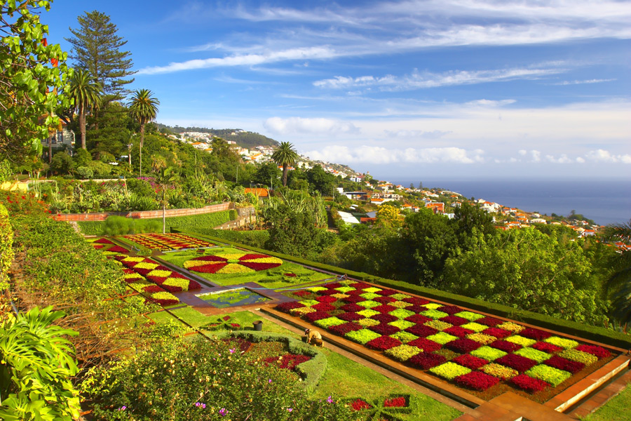 Botanical Garden i Funchal