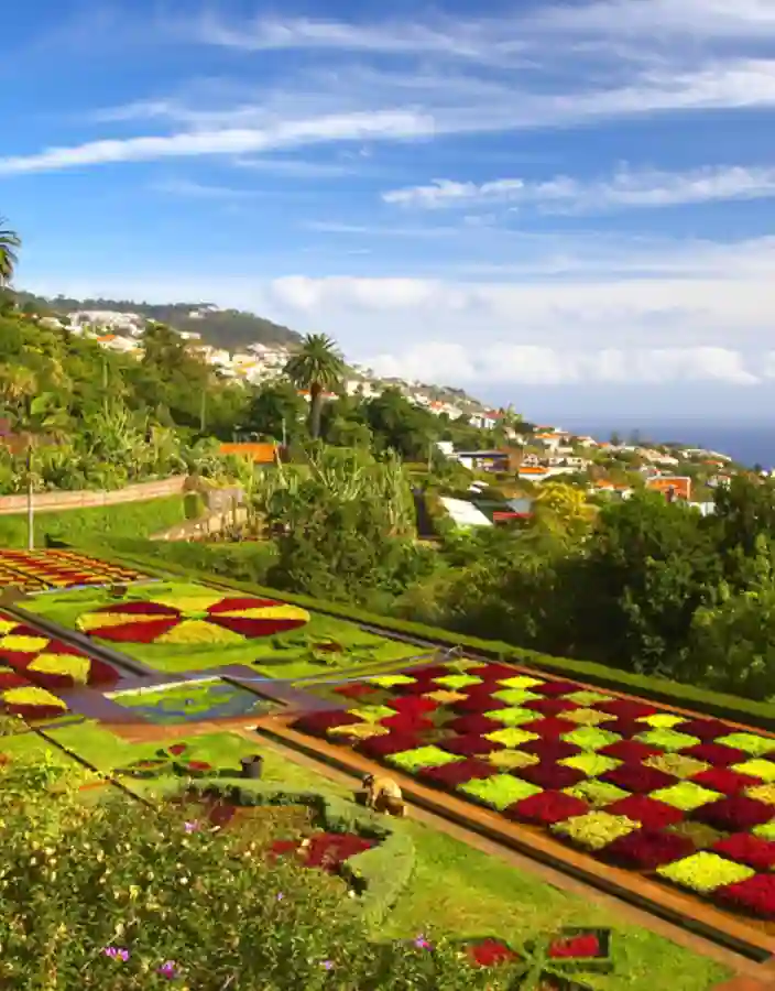 Botanical Garden i Funchal