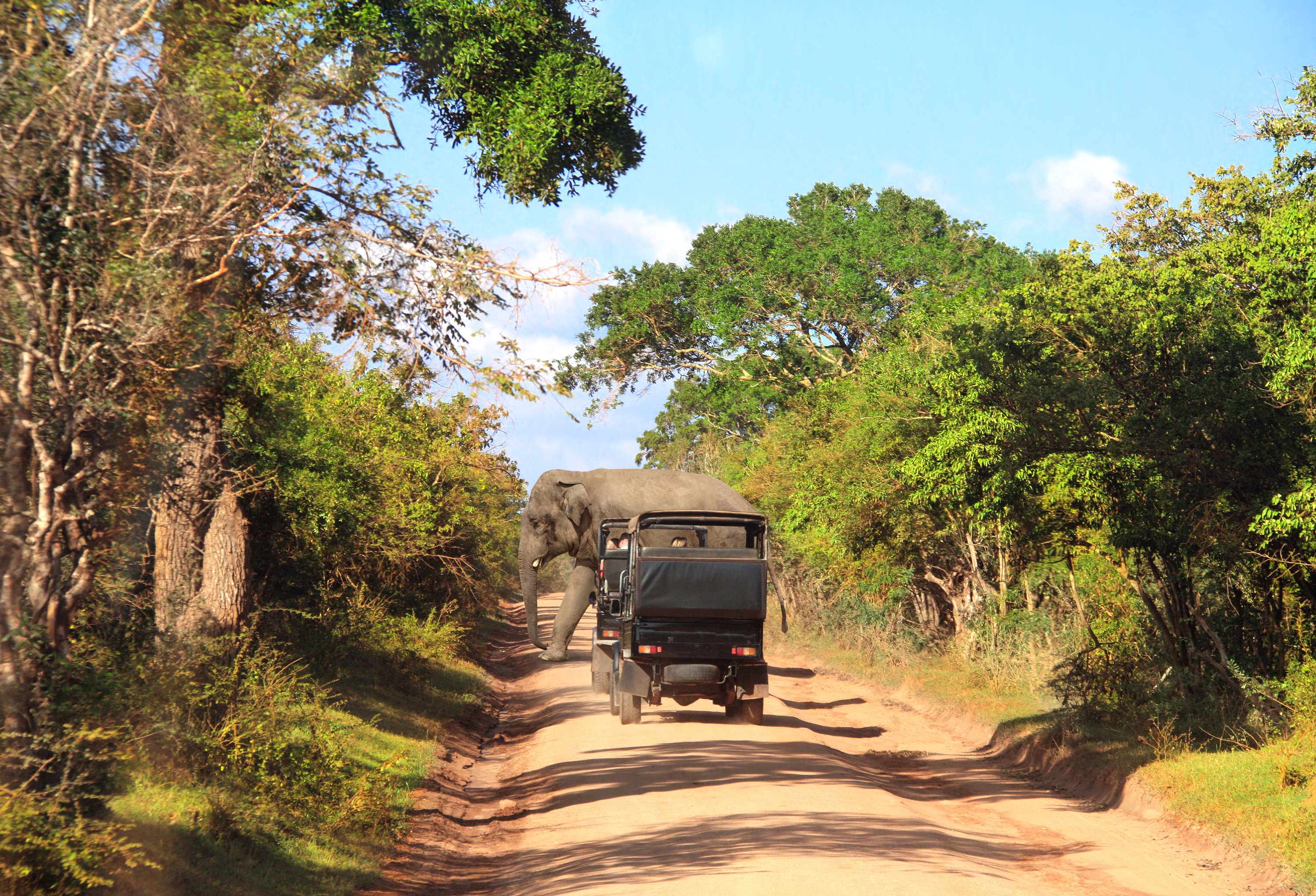 Yala nasjonalpark