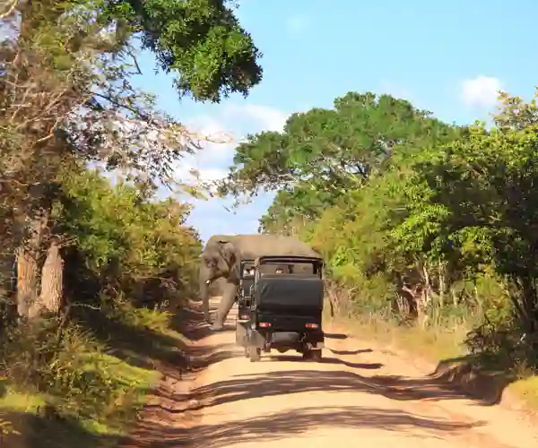 Yala nasjonalpark