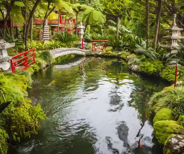 Den tropiske hagen i Monte