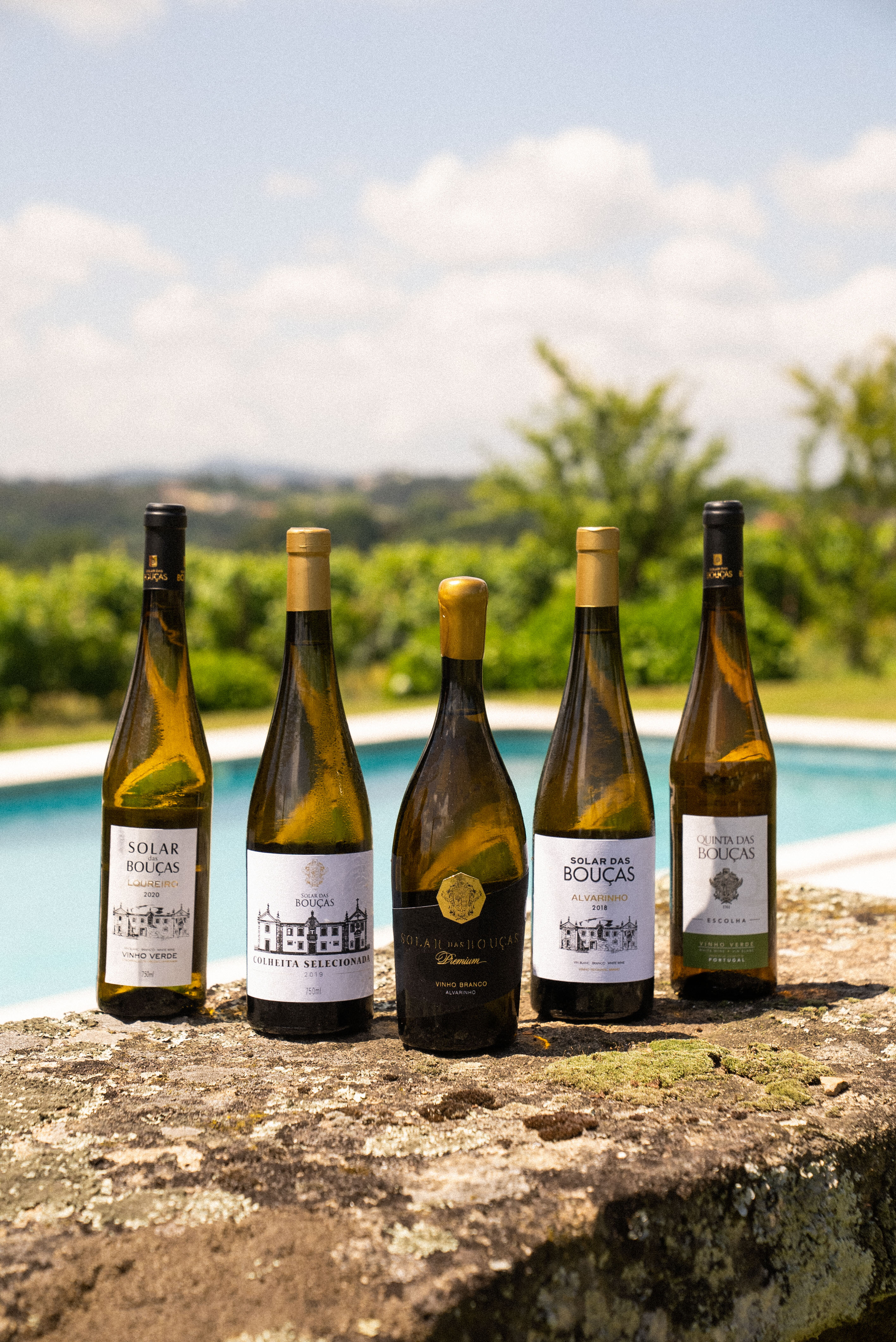 Vine fra vingården Quinta Solar das Bouças