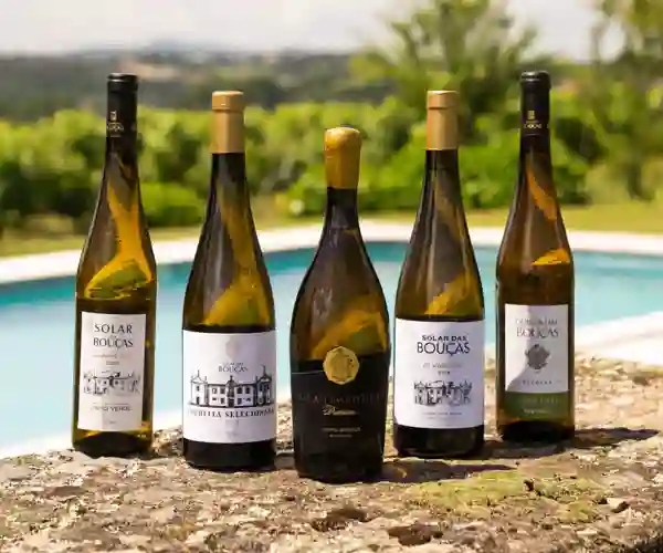 Vine fra vingården Quinta Solar das Bouças